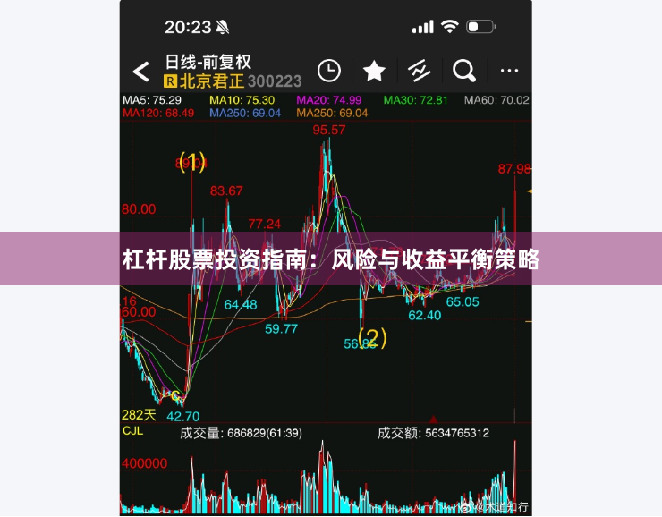 杠杆股票投资指南：风险与收益平衡策略